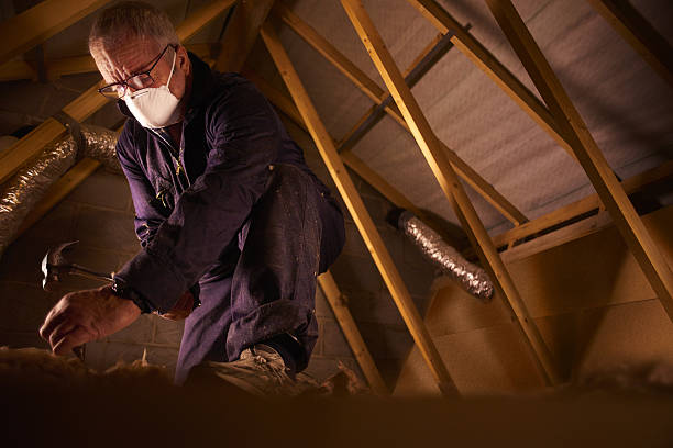 Trusted Frontenac, MO Insulation Contractor Experts